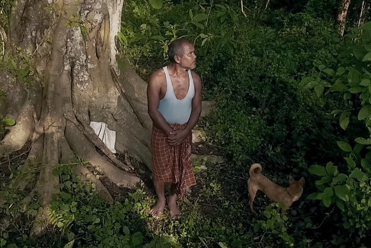 Един човек засадил гора, като засаждал по дърво на ден в продължение на 40 години