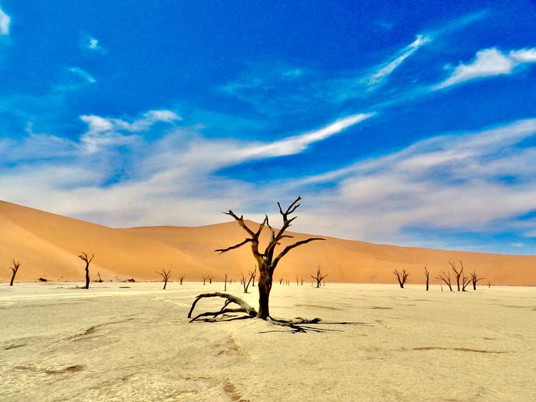 Пустинята Намиб