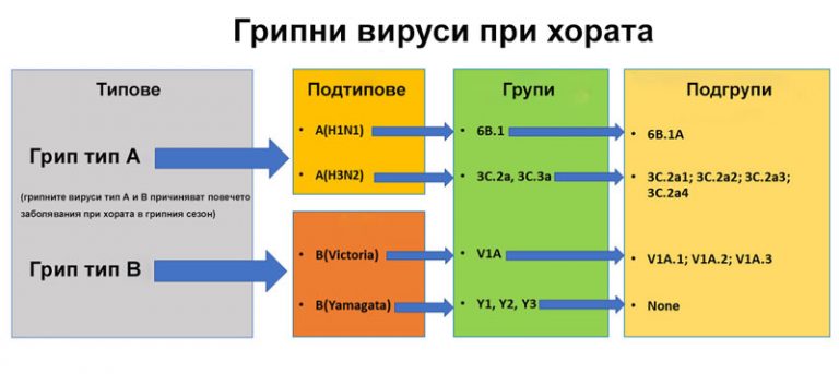 Movavi вирус или нет