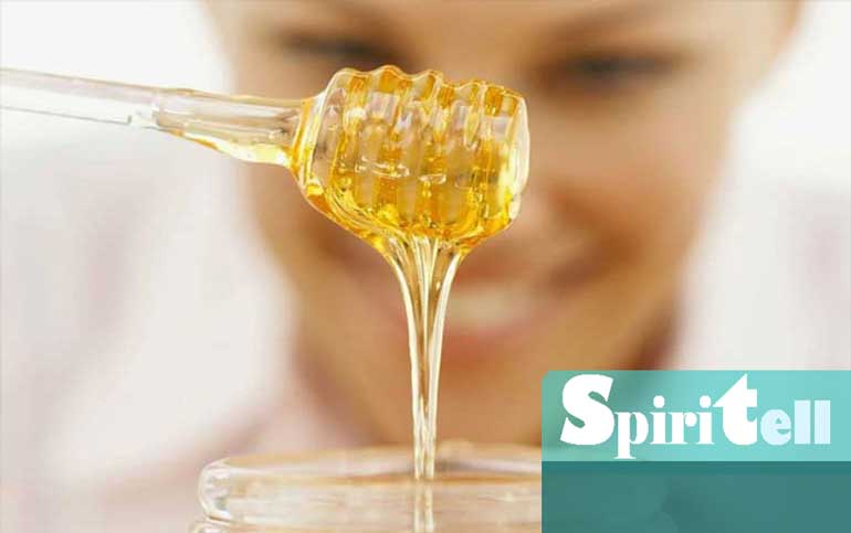 От стотици години медът се смята за еликсир на живота