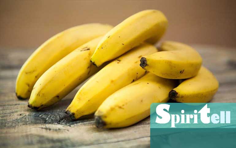 Вкусните банани са един от най популярните плодове в целия свят