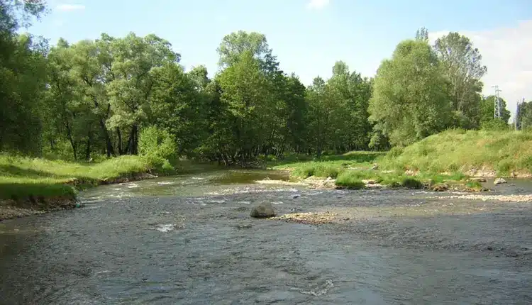 Знаете-ли-коя-е-най-дългата-река-в-България-искър