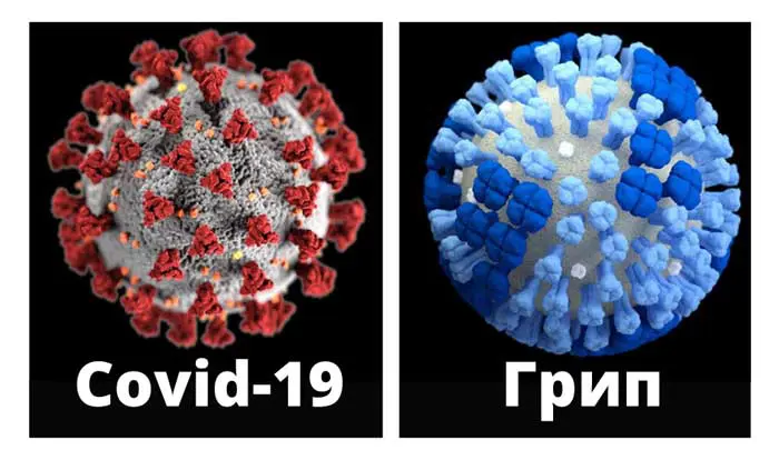 разлика между грип и коронавирус симптоми