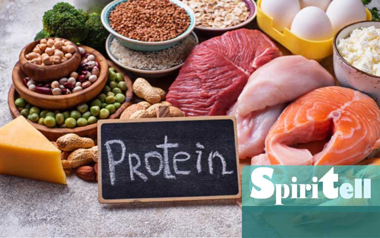 Какво всъщност ни дават полезните храни богати на протеин Протеинът