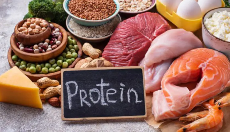 храни богати на протеин