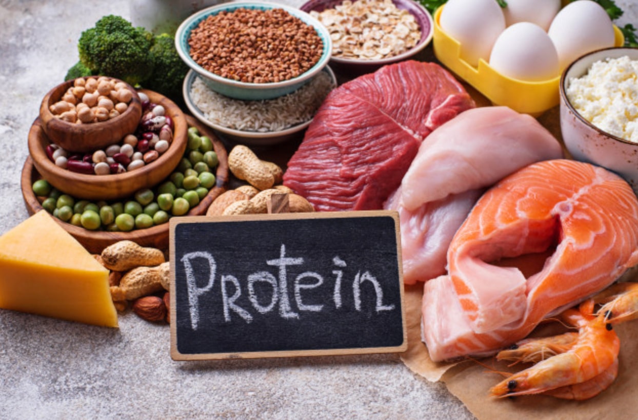 храни богати на протеин