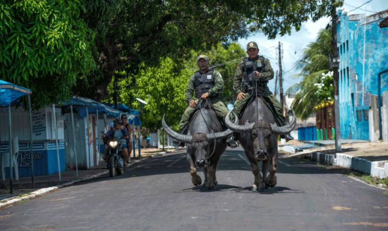 Полицията в Бразилия „язди“ биволи вместо коне, за да се справи с престъпниците