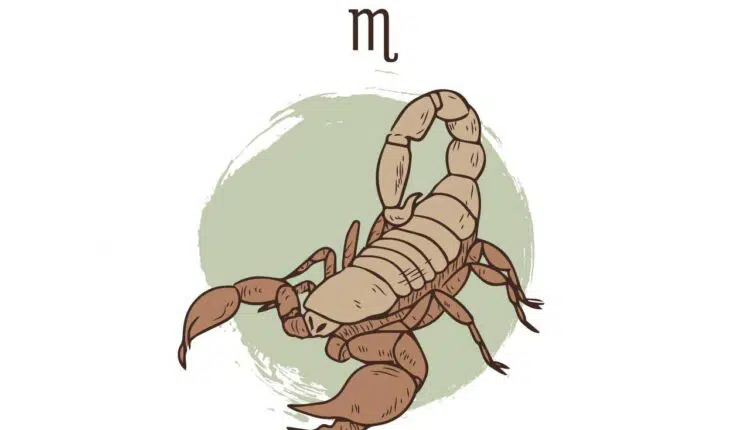 зодия скорпион мъже