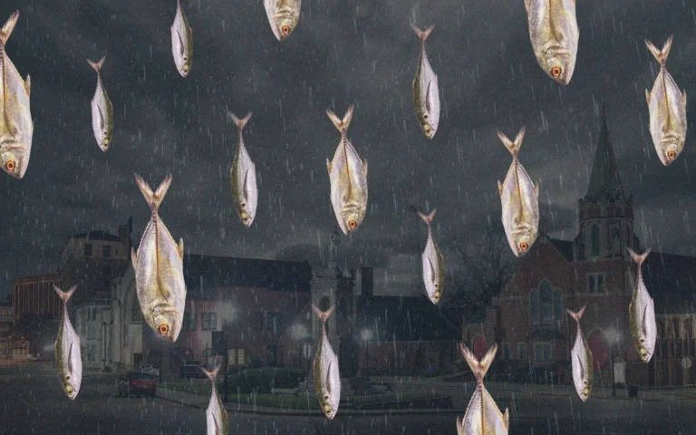 Дъжд от риба, възможно ли е?