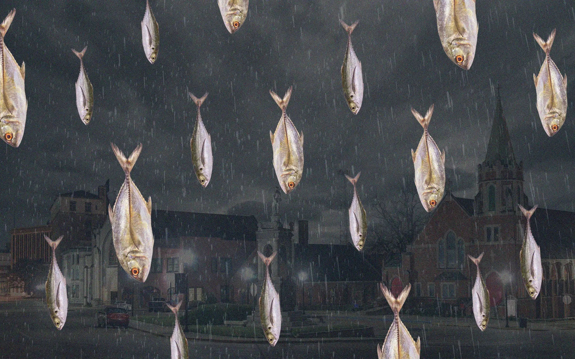 Дъжд от риба