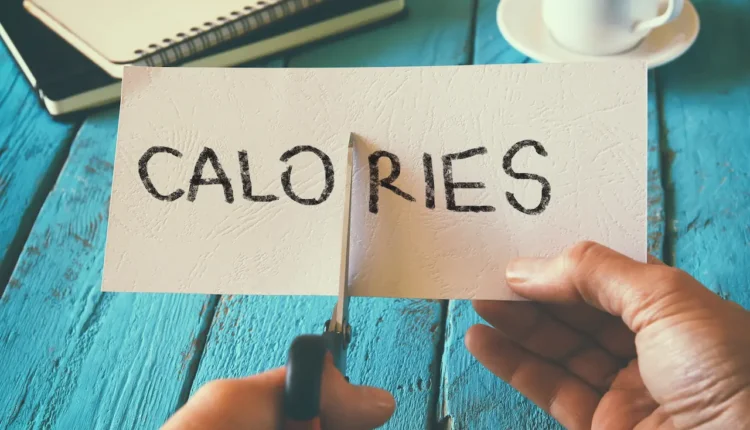 калория и килокалория