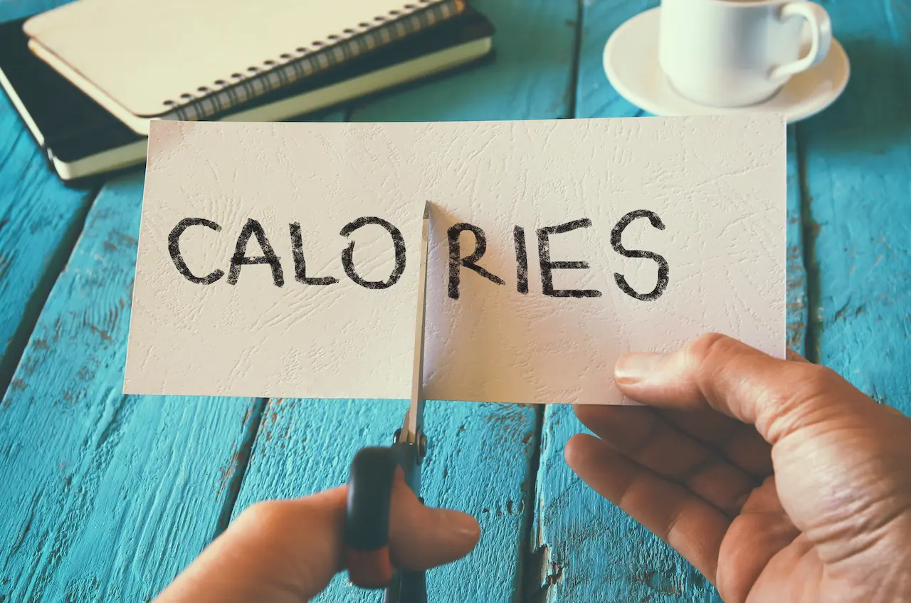 калория и килокалория
