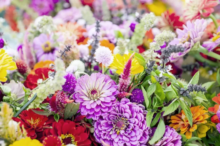 Символика на цветята – какво означават те и техните цветове