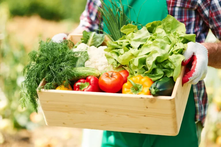 14-те Най-богати на хранителни вещества зеленчуци