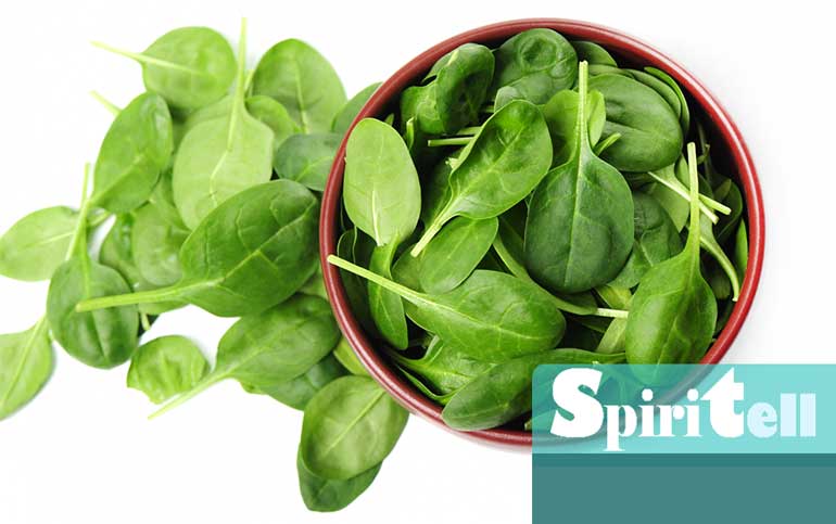 Тъмнозелените листни зеленчуци като спанак са полезни за здравето на