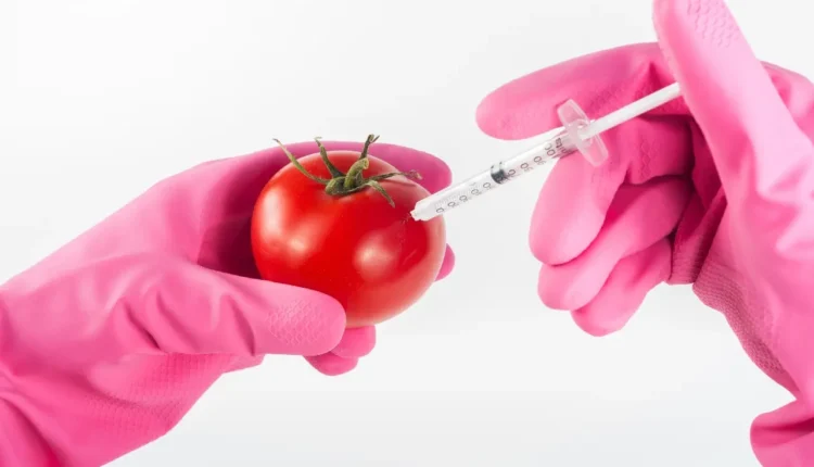 ГМО и генно модифицирана храна