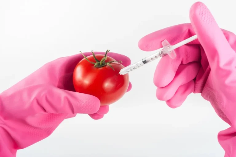 ГМО и генно модифицирана храна – Ползи и вреди