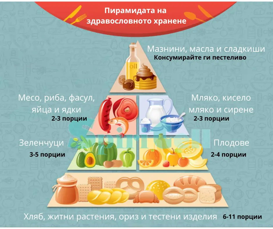 Пирамида на здравословното хранене
