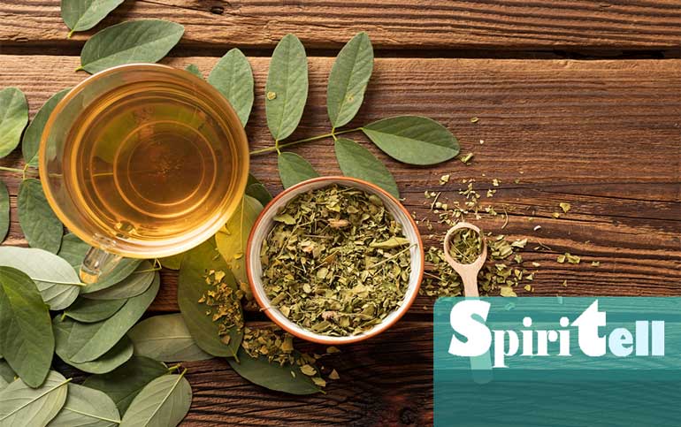 Хората са запознати с ползите за здравето от зеления чай