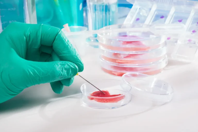Месо, отгледано в лаборатория: Какво е култивирано месо от клетки?