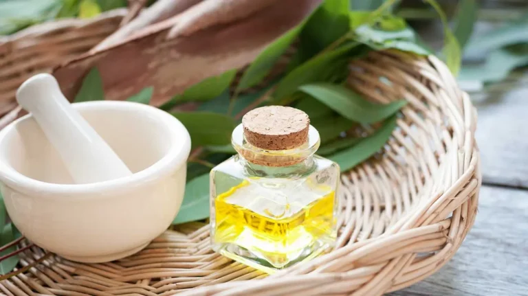 Масло от евкалипт – как да го използвате в полза на здравето