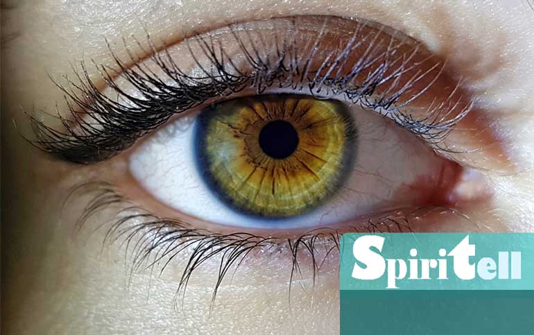 Традиционно се смята, че най-редкият цвят на очите е зелен.