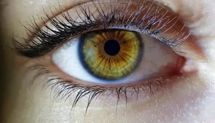 Кой е най-редкият цвят на очите
