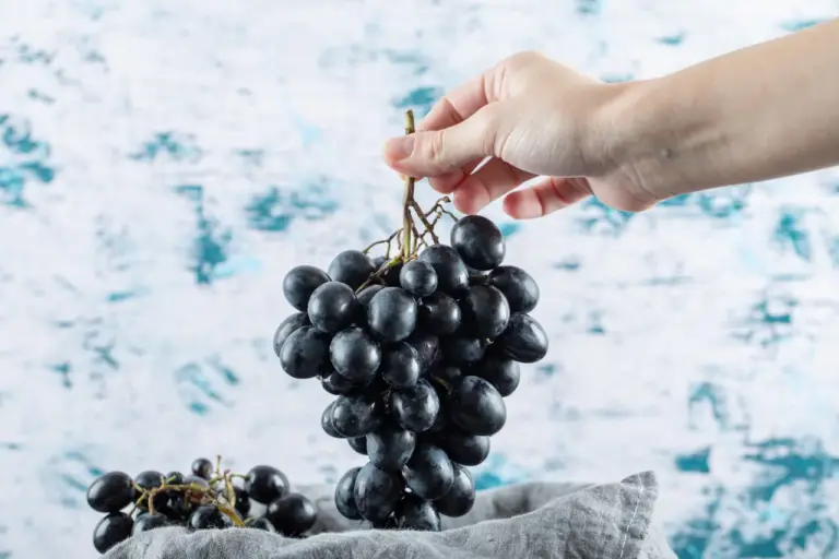 Може ли ежедневната консумация на грозде да увеличи някои чревни бактерии?