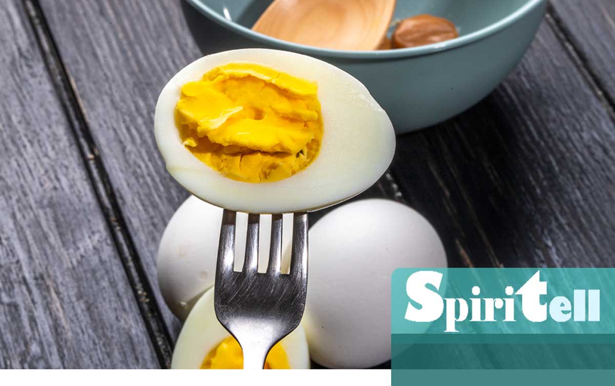 Яйцата са чудесен източник на висококачествен протеин, който е важен