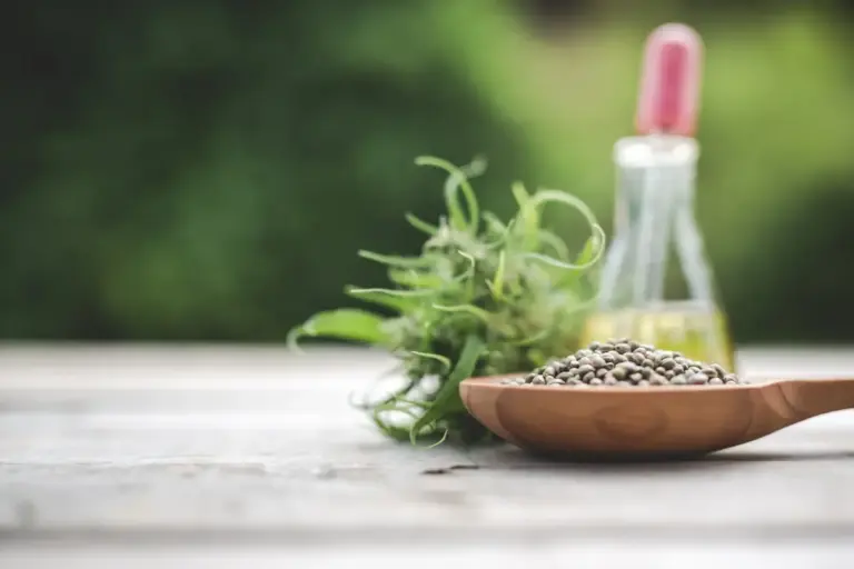 9 Ползи за здравето от конопените семена – Основани на доказателства